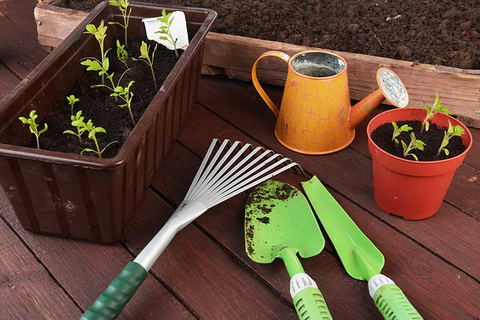 picture of sprouts in a pot, spade, shovel, gardening hoe, watering can, and another pot with baby sprouts